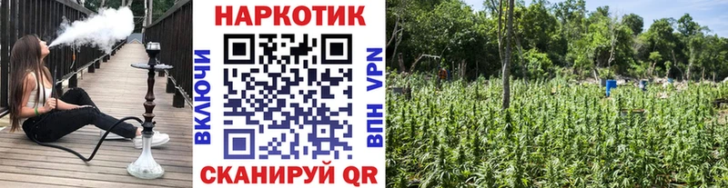 Купить Cocaine Каннабис APVP Гашиш Кетамин Меф Княгинино