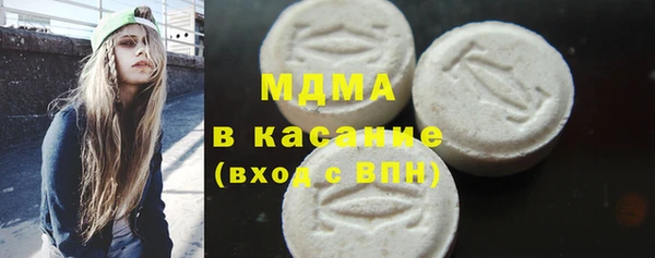 прущие грибы Горняк