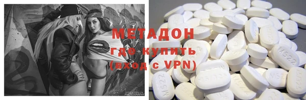 прущие грибы Горняк
