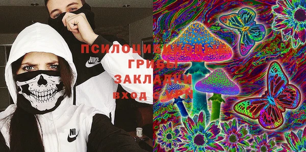 прущие грибы Горняк