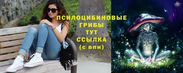 прущие крисы Гусиноозёрск