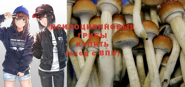 хмурый Гусев
