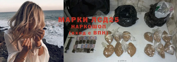 прущие грибы Горняк