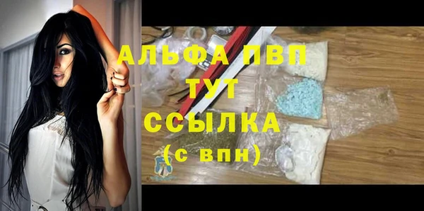 СК Горно-Алтайск