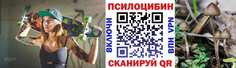 Псилоцибиновые грибы Magic Shrooms  Купить где  Княгинино 